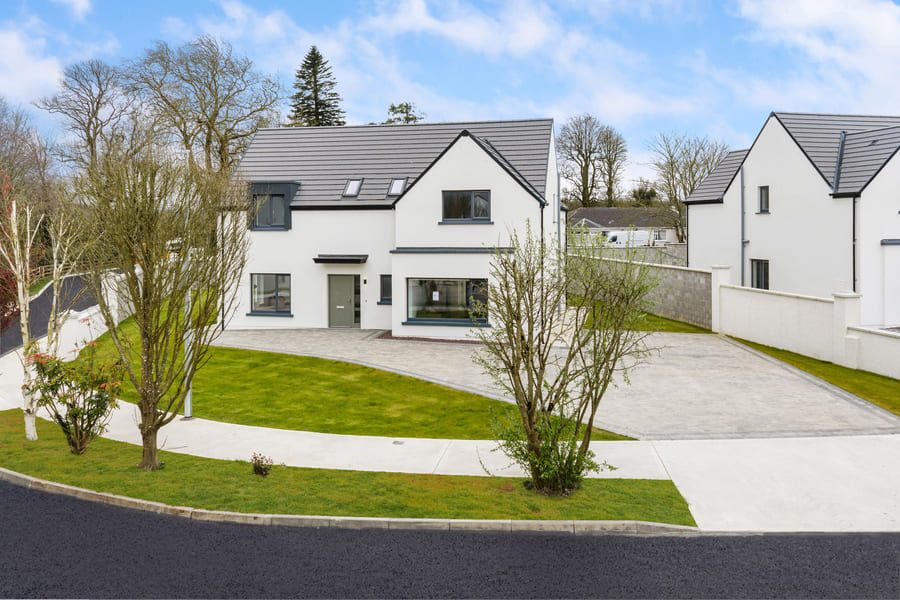 1THEBEECHES_6_dji_0058_d