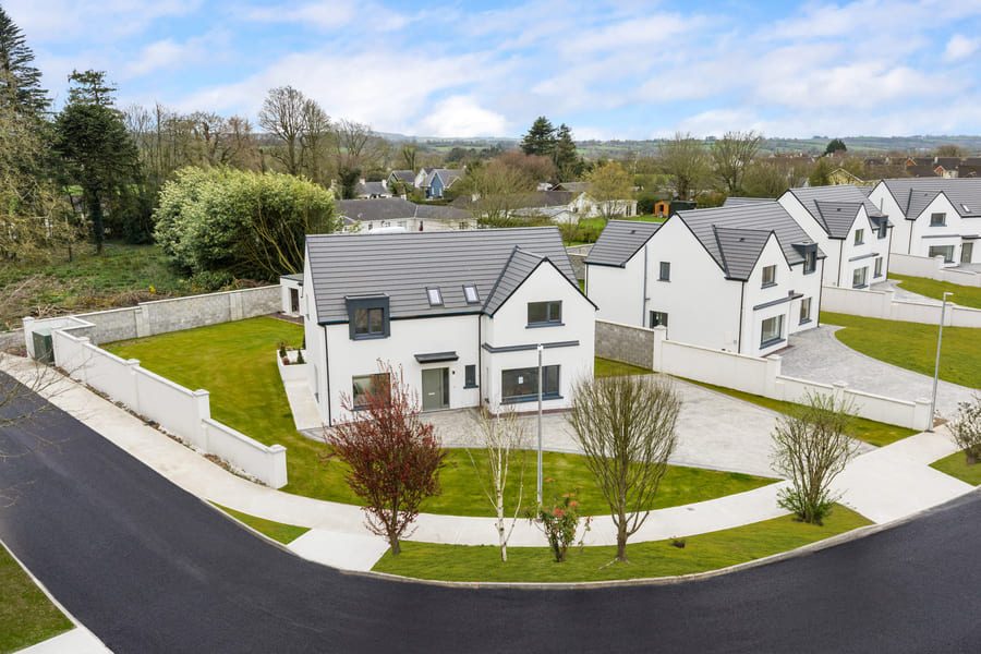 1THEBEECHES_7_dji_0063_d