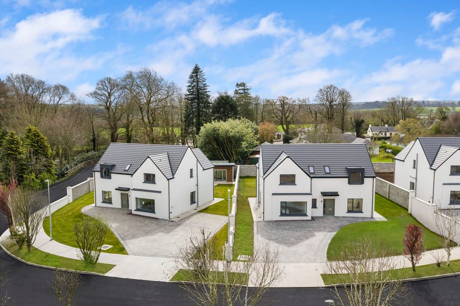 1THEBEECHES_9_dji_0099_d